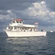 Fishing Charters Miami Beach