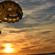 Miami Parasail