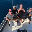 Sea Cross Miami Deep Sea Fishing Charters